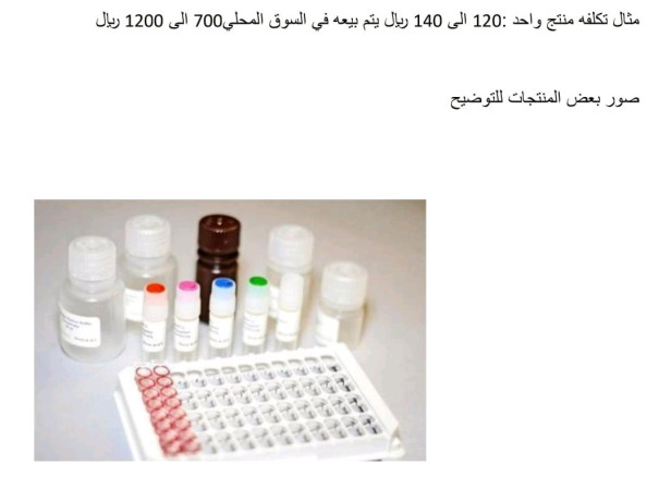 mtlob-mmol-samt-big-1