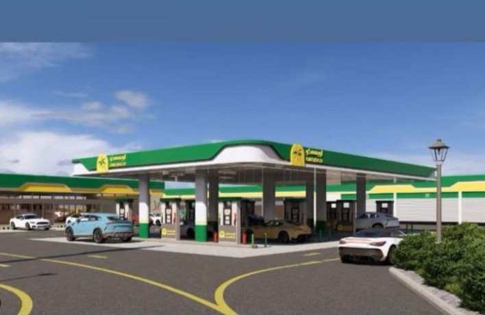 mtlob-shryk-mmol-big-1