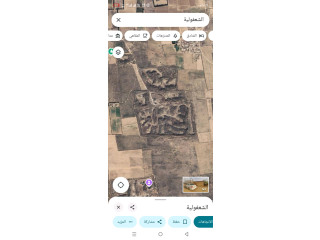 مطلوب شريك لمشروع تعدين