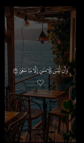 ldyk-mshroaa-othtag-shryk-big-0