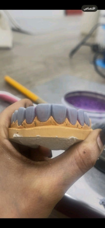 shrak-mrbh-oamnh-big-0