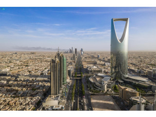 شريك في مشروع