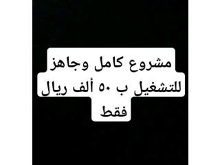 مشروع تعليمي قائم للبيع