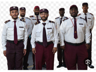 احتاج مستثمر لمؤسسة حرسات امنيه