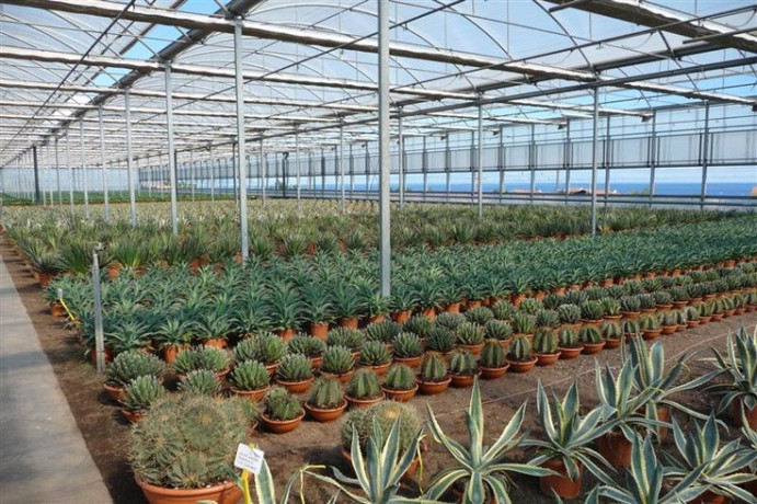 mtlob-shryk-saaody-mstthmr-mshroaa-mshtl-onsyk-hdayk-big-3