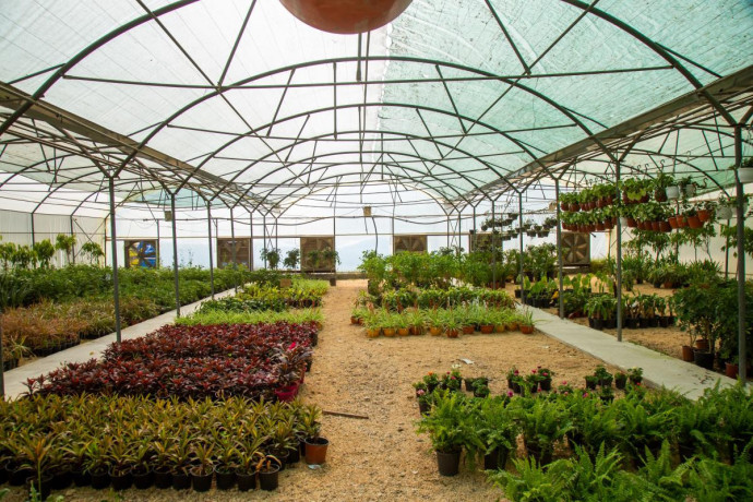 mtlob-shryk-saaody-mstthmr-mshroaa-mshtl-onsyk-hdayk-big-2