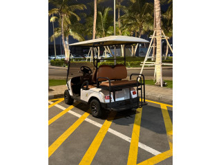 مشروع تشغيل عربات القولف مساهمة صغيرة ومربحة