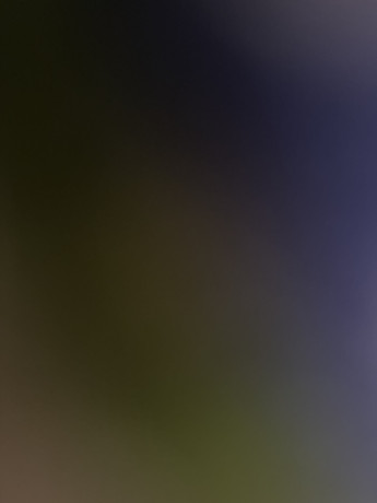 mtlob-othyf-mshrf-mdany-ao-mshrf-aamlyat-big-0