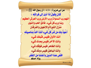 مطلوب شريك لمشروع تجاري