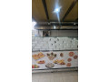 mtaam-ogbat-sryaah-lltkbyl-bkaf-almaadat-oalaamal-small-2