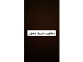 shryk-mmol-small-0