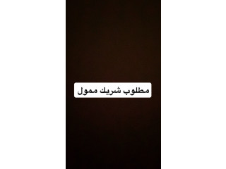 شريك ممول