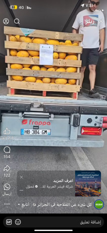 shryk-astyrad-khdar-ofakh-big-4