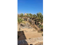 llastthmar-ao-llbyaa-mzraa-mtkaml-aal-altryk-alkadm-mn-alardn-lmntk-algof-small-0