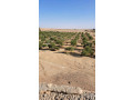 llastthmar-ao-llbyaa-mzraa-mtkaml-aal-altryk-alkadm-mn-alardn-lmntk-algof-small-1