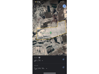 مشروع زراعي
