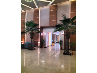 مطعم للتقبيل