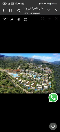mshroaa-syahy-kbyr-fy-mk-almkrm-big-0