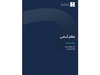لدي سجل تجاري شركة جديد