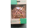 shryk-fy-mgal-altmor-small-0