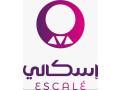 ttbyk-adar-altshghyl-f-almnshat-alsyahy-small-0