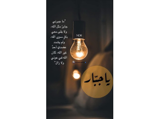 شركة لوجستية بترخيص سيارات