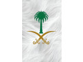 mktb-astkdam-aamalh-fny-mn-alflbyn-omsr-obakstan-small-0