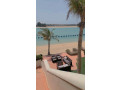 frs-astthmar-bmntgaa-aldrh-bganb-shado-bytsh-albrdays-small-1