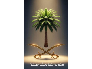 فكرة مشروع