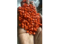 alryad-small-1