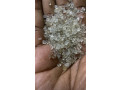 alryad-small-2